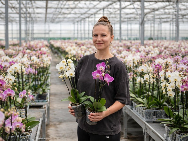 Medewerker Orchideeën